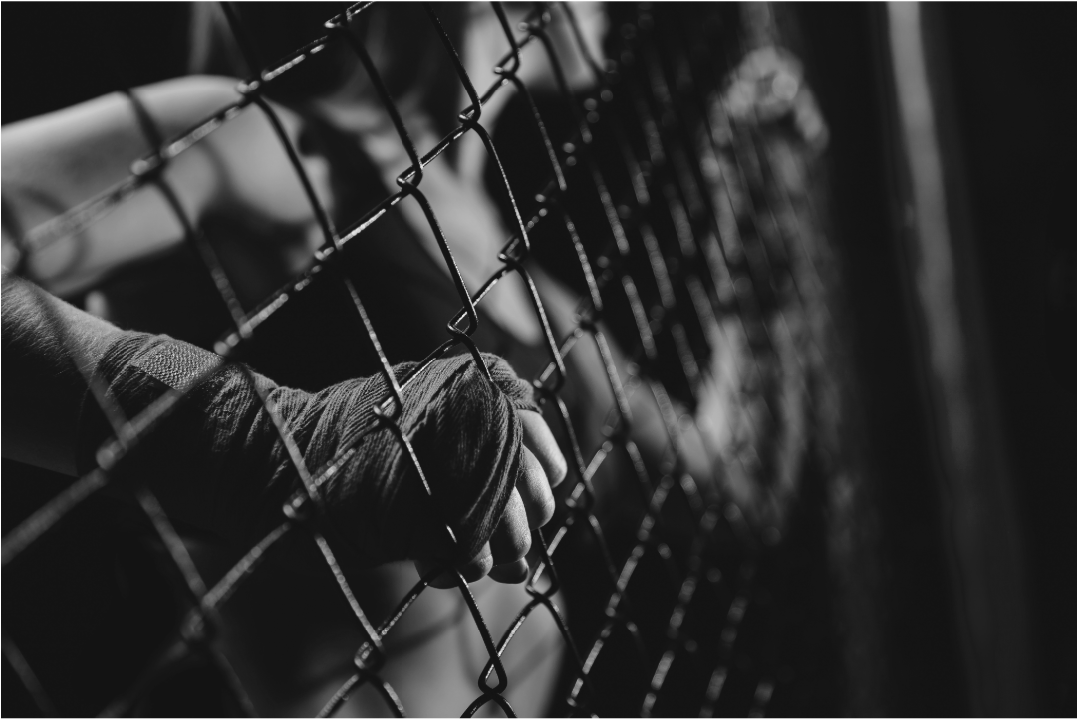 Close-up of a fighter gripping a chain-link cage during combat sports training